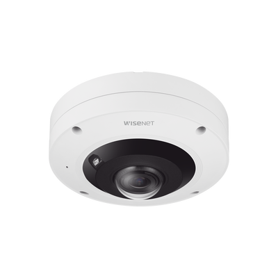 Ia Fisheye Ip 12 Megapixel / Wdr 120db / Deteccion De Personas Con Ia / Nema 4x / Ip66 / Ik10