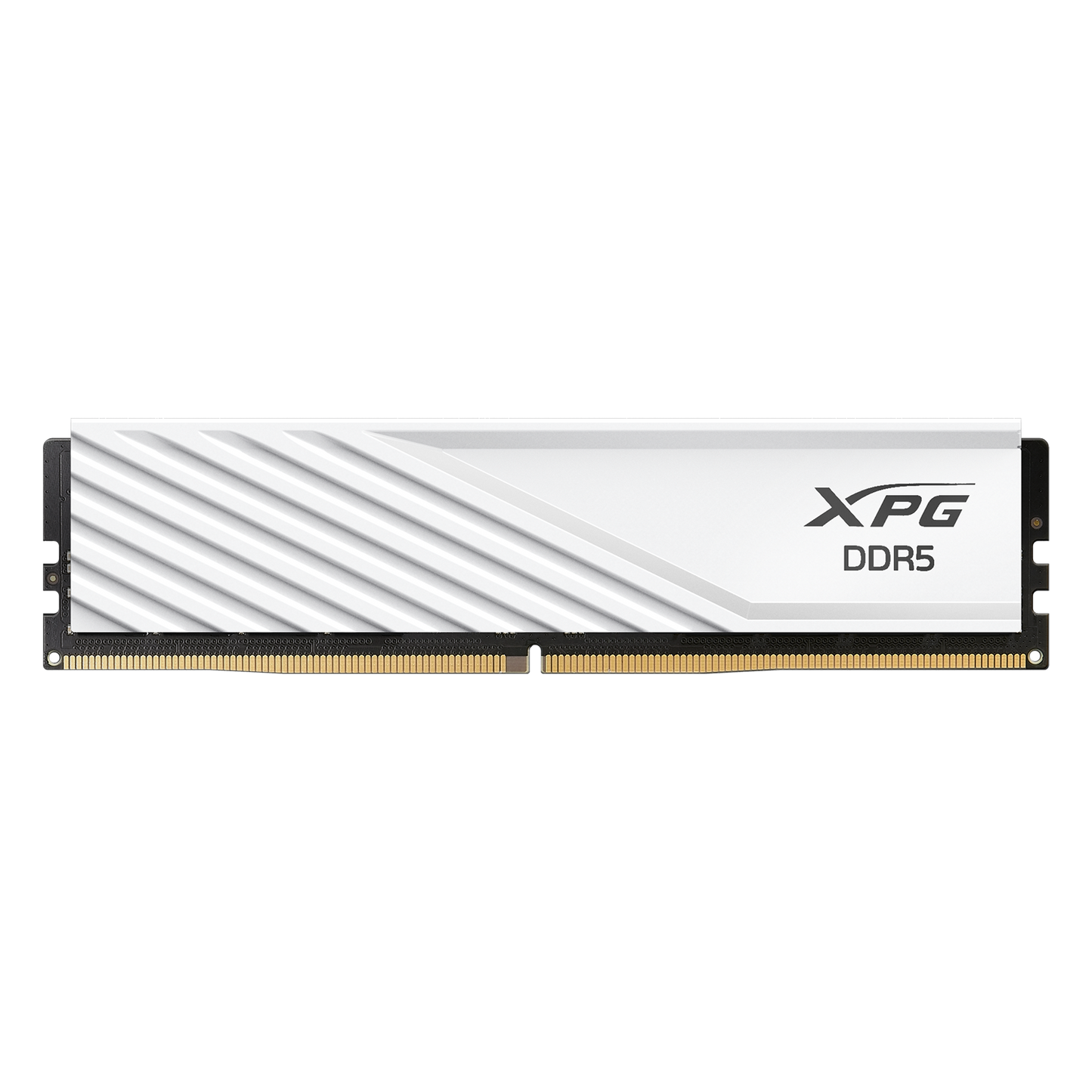 Memoira Xpg Lancer Blace Udimm Ddr5 32g Pc5-44800 5600mhz Cl46 1.1v Con Disipador Blanco Pc Gammer/alto Rendimiento (ax5u5600c4632g-slabwh)