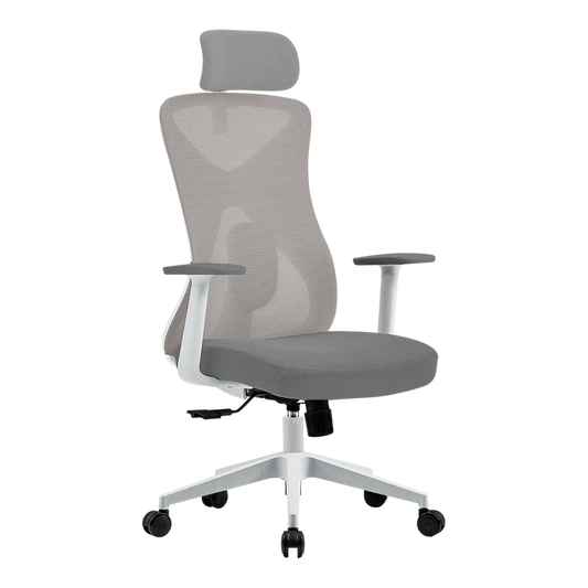 Silla Ergonomica Acteck Floe Pro Ec737 / Inclinacion 35 Grados / Mariposa Clase 4 / Max 120 Kg / Piston Clase 4 / Reposabrazos Fijo / Blanco / Ac-937245