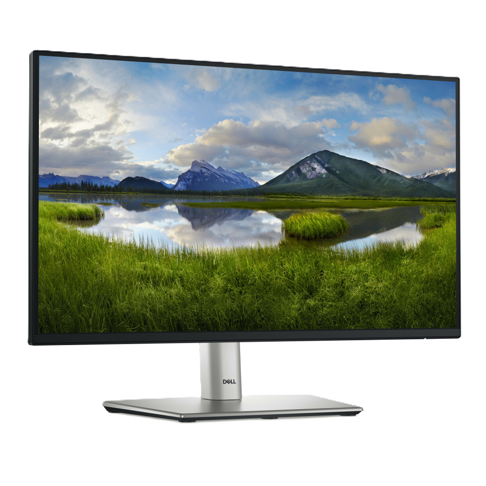 Monitor Led Dell P2225h 21.5 Pulgadas Full Hd 1920 X 1080 100hz Hdmi, Vga, Dp 210-blxj