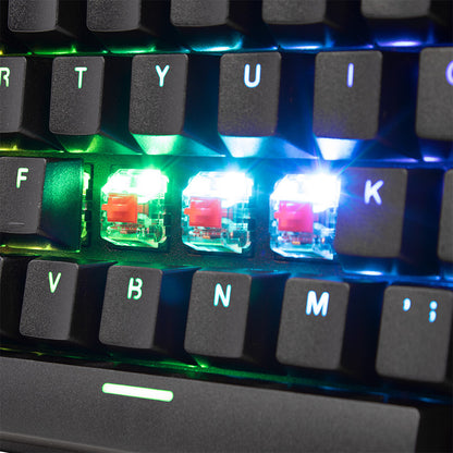 Teclado Mecanico Ocelot Gaming Ok-tkl2 / Switch Rojo / Full Rgb / 88 Teclas / Anthigosting / Usb / Color Negro