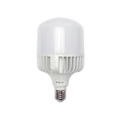 Foco Led Para Alumbrado En Interior / Luz Fría / 100 W / 10000 Lúmenes / 50000 Hrs / Ángulo De Iluminación 240°