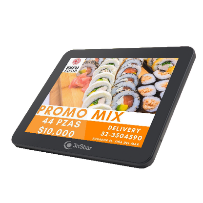 Pantalla Para Cliente Lcd De 9.7 Compatible Con Pte0105 Modelo Pte0105-m10 3nstar Color Gris Oscuro, No Touch, Vga