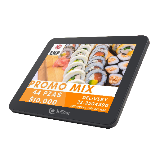 Pantalla Para Cliente Lcd De 9.7 Compatible Con Pte0105 Modelo Pte0105-m10 3nstar Color Gris Oscuro, No Touch, Vga