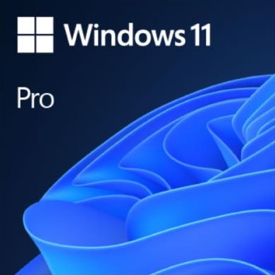 Esd Windows 11 Pro 64 Bit - Multilenguaje - Uso Comercial - Descarga Digital
