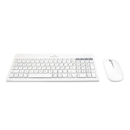 Kit De Teclado Y Mouse Regargable Inalambrico Zebrary Perfect Choice Blanco
