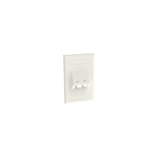 Placa de Pared Vertical Clásica, Salida Para 2 Puertos Mini-Com Inclinados, Con Espacios Para Etiquetas, Color Blanco