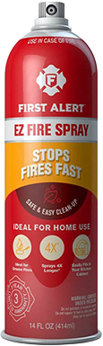 Extintor Portatil / Spray 100 Ml / Agente Extintor Dipotasico / Uso Multiple / Gases Bajo Presion
